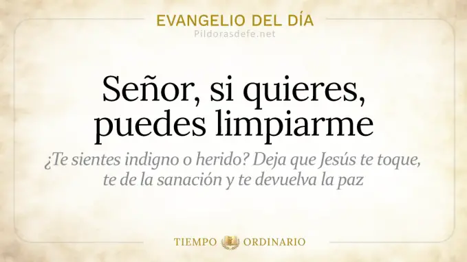 Evangelio del dia Viernes Mateo    Senor si quieres puedes limpiarme  jun 