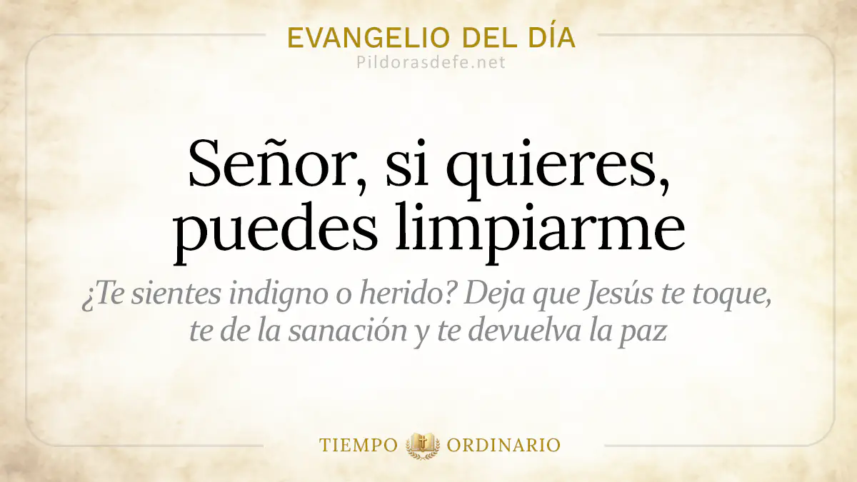 Evangelio del dia Viernes Mateo    Senor si quieres puedes limpiarme  jun webp