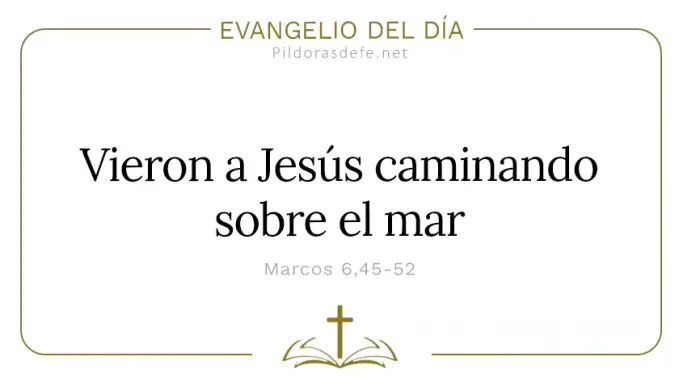Evangelio del dia Vieron a Jesus caminando sobre el mar Marcos    Cita Biblica   