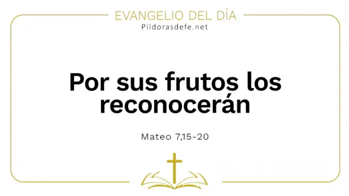Evangelio del dia de hoy Por sus frutos los reconoceran Mateo    Cita Biblica   