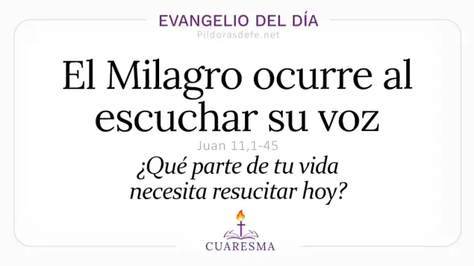 Evangelio del dia domingo Juan    El Milagro ocurre escuchar voz Lazaro sal  Mar 