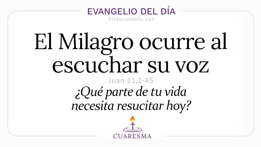 Evangelio del dia domingo Juan    El Milagro ocurre escuchar voz Lazaro sal  Mar webp