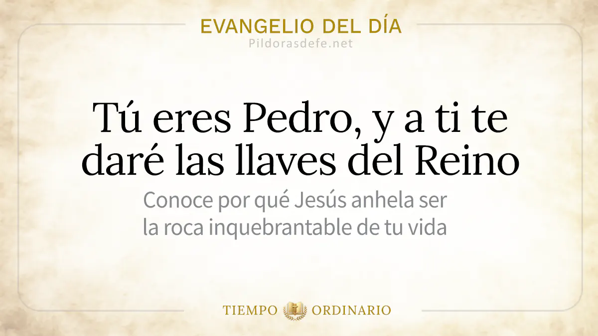 Evangelio del dia domingo Mateo    Tu eres Pedro webp