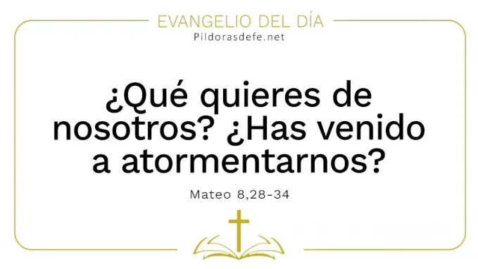 Evangelio del dia has venido a atormentarnos Mateo    Cita Biblica   