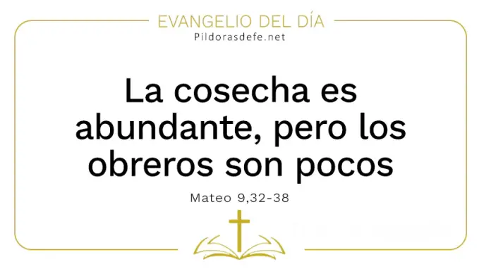 Evangelio del dia la cosecha es abudante Mateo    Cita Biblica   