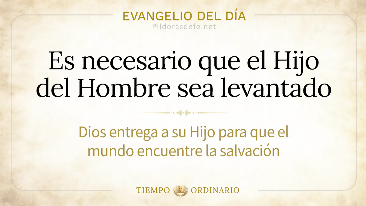 Evangelio del dia lunes Juan    Hijo del Hombre debe ser levantado webp