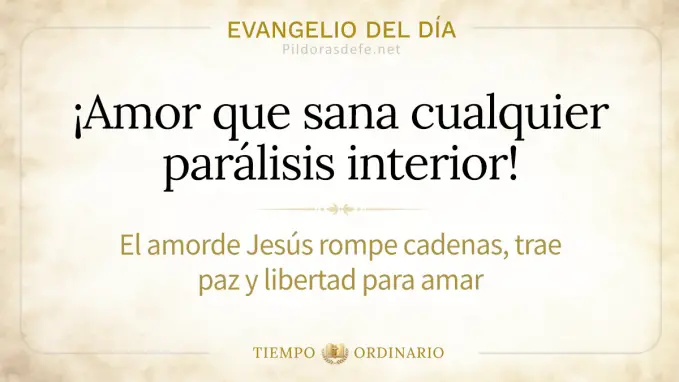 Evangelio del dia lunes Lucas    sanacion mano paralizada 