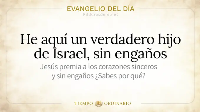 Evangelio del dia lunes san Juan    verdadero israelita 