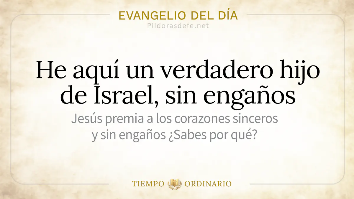 Evangelio del dia lunes san Juan    verdadero israelita webp