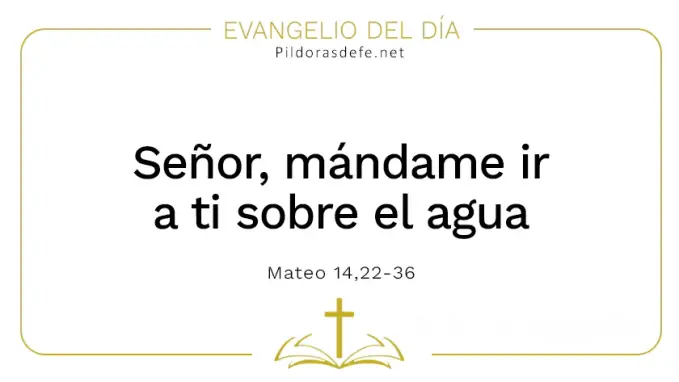 Evangelio del dia mandame ir a ti sobre el agua Mateo    Cita Biblica   