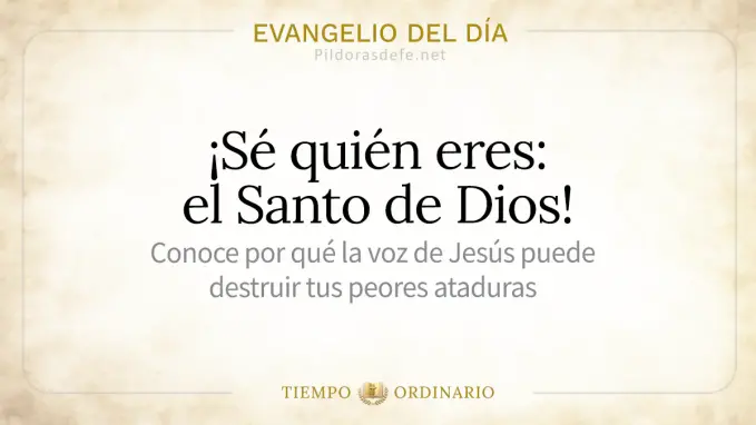 Evangelio del dia martes Lucas    Eres el Santo de Dios 