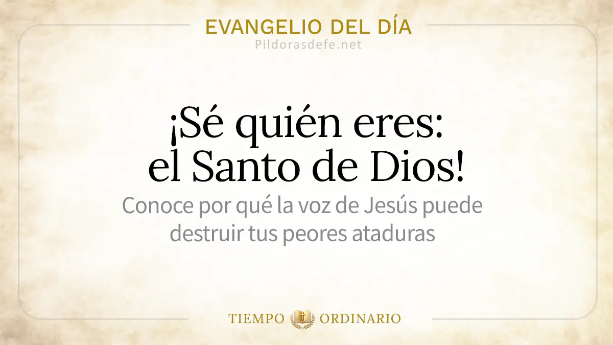 Evangelio del dia martes Lucas    Eres el Santo de Dios webp