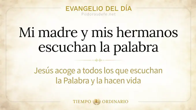 Evangelio del dia martes Lucas    Madre hermanos escuchan la Palabra 