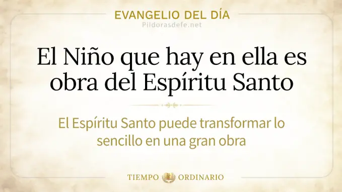 Evangelio del dia martes Mateo      Natividad de la Virgen Maria 