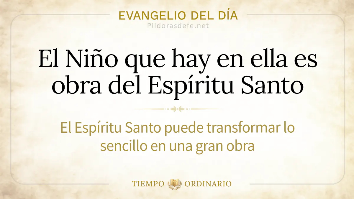 Evangelio del dia martes Mateo      Natividad de la Virgen Maria webp