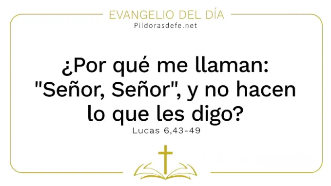 Evangelio del dia me llaman Senor no hacen lo que digo Lucas    Cita Biblica   