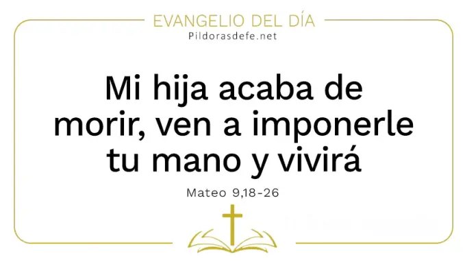Evangelio del dia mi hija acaba de morir Mateo    Cita Biblica   