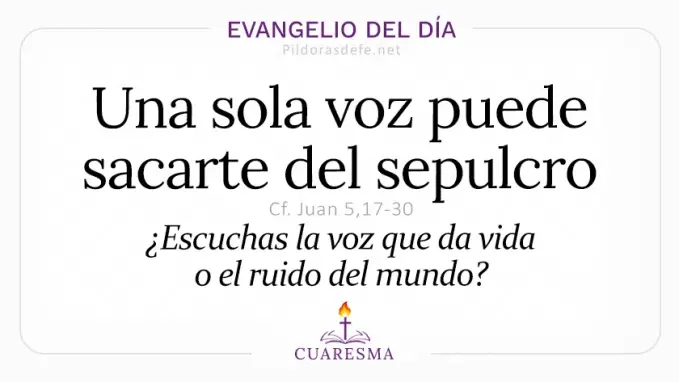Evangelio del dia miercoles Juan    el Hijo da vida a quien elige  Mar 