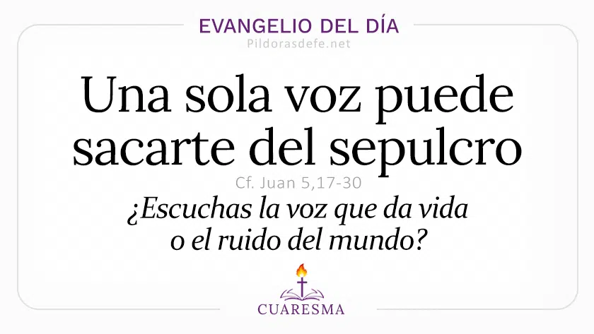 Evangelio del dia miercoles Juan    el Hijo da vida a quien elige  Mar webp