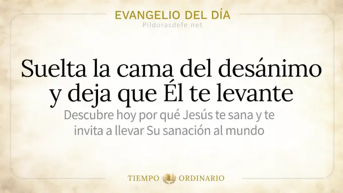 Evangelio del dia miercoles Lucas    debo anunciar el Reino 