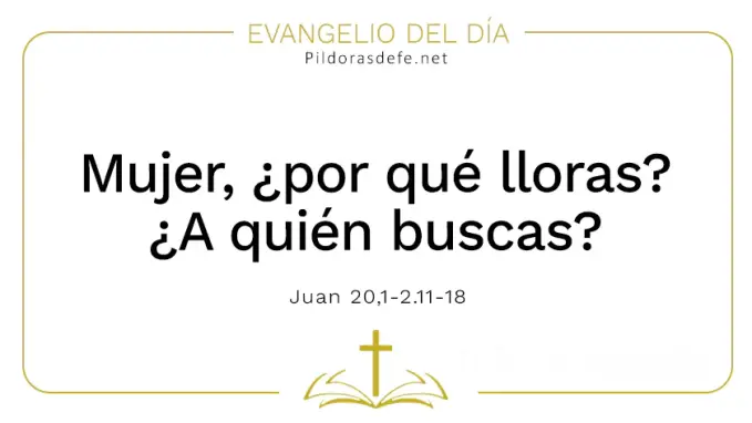 Evangelio del dia mujer por que lloras Juan      Cita Biblica   