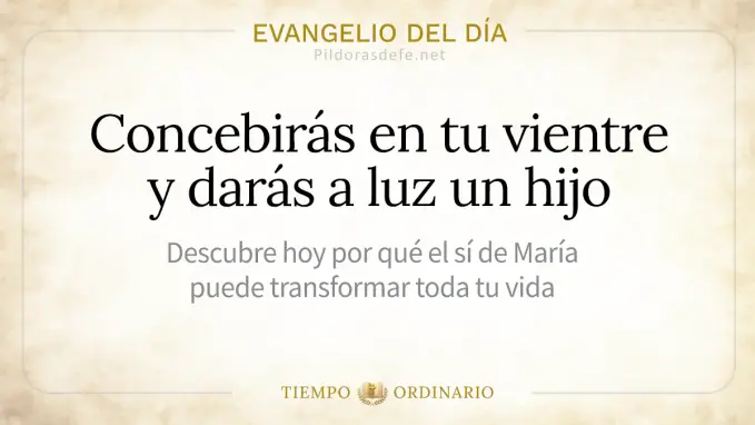 Evangelio del dia sabado Lucas    Concebiras daras a luz un hijo 