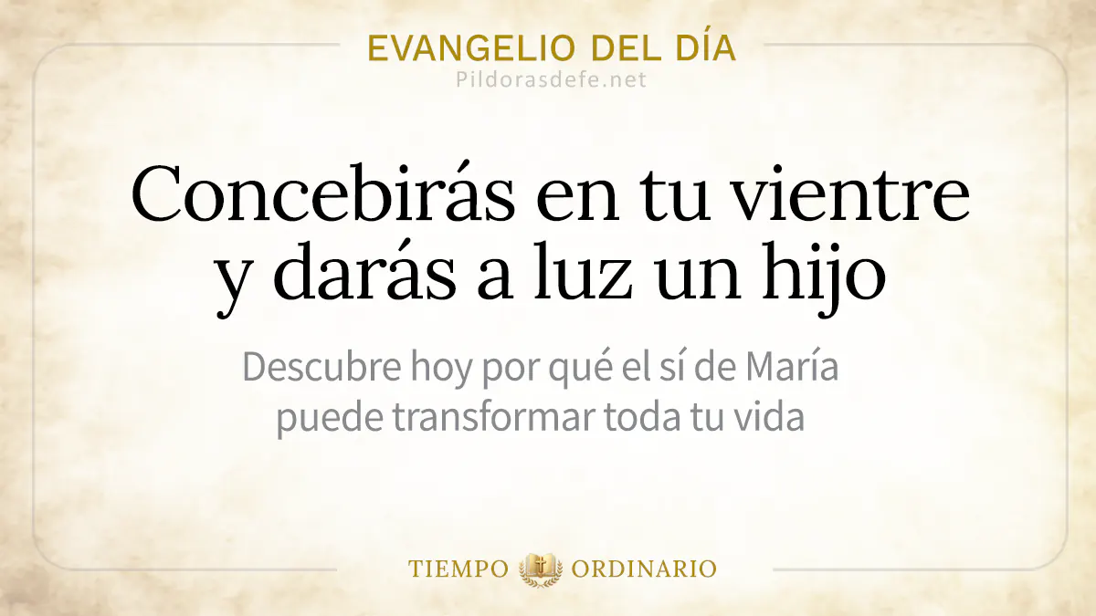 Evangelio del dia sabado Lucas    Concebiras daras a luz un hijo webp