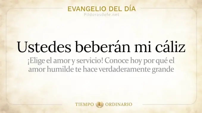 Evangelio del dia sabado Mateo    ustedes beberan mi caliz  jul 