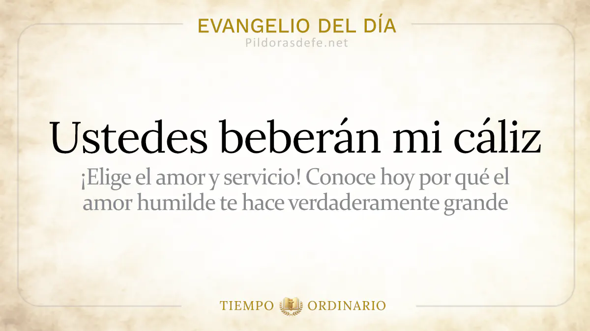 Evangelio del dia sabado Mateo    ustedes beberan mi caliz  jul webp