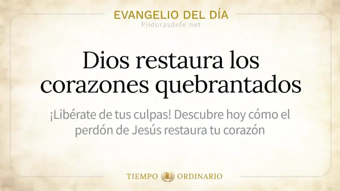 Evangelio del dia viernes Juan    Apacienta mis corderos 