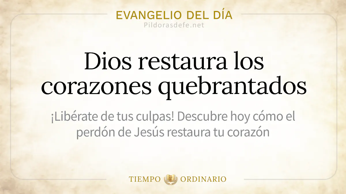 Evangelio del dia viernes Juan    Apacienta mis corderos webp