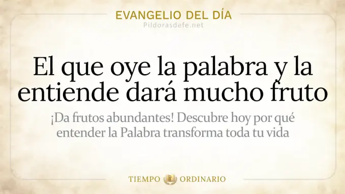 Evangelio del dia viernes Mateo    quien oye entiende la palabra dara fruto  jul 