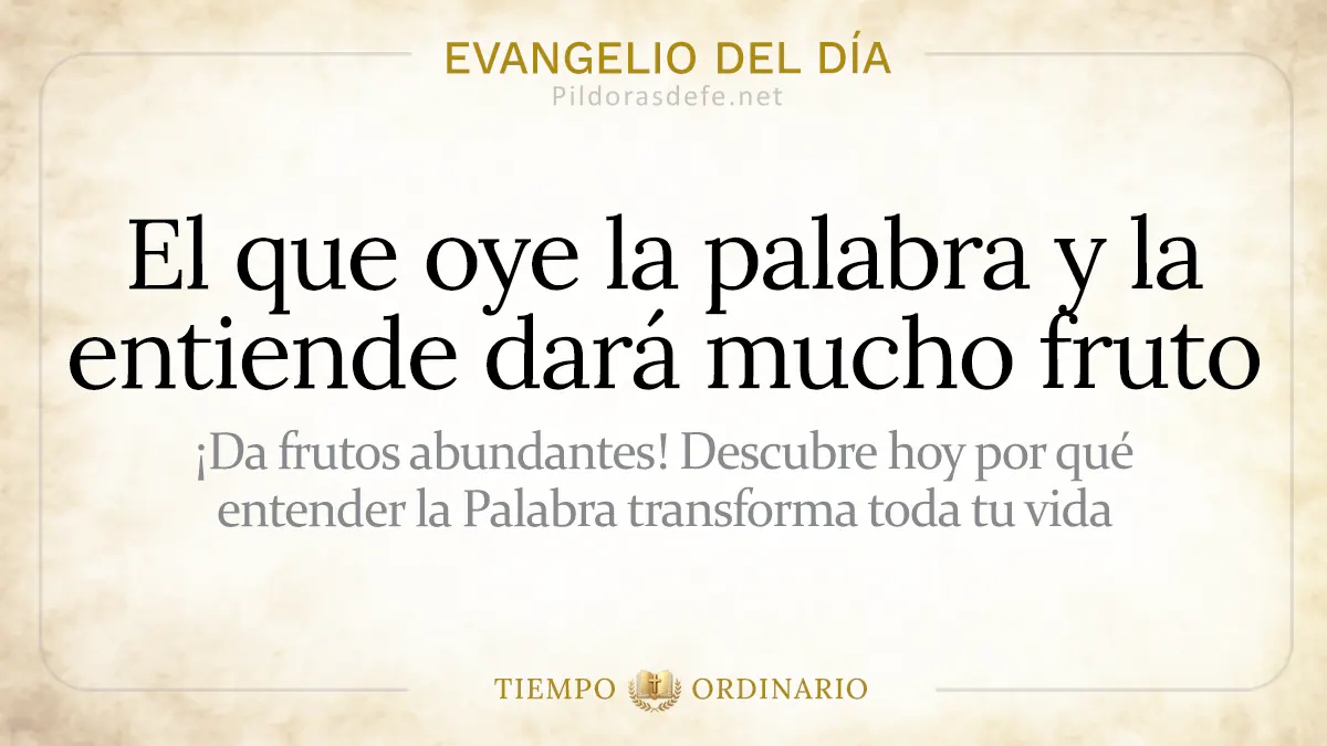 Evangelio del dia viernes Mateo    quien oye entiende la palabra dara fruto  jul webp
