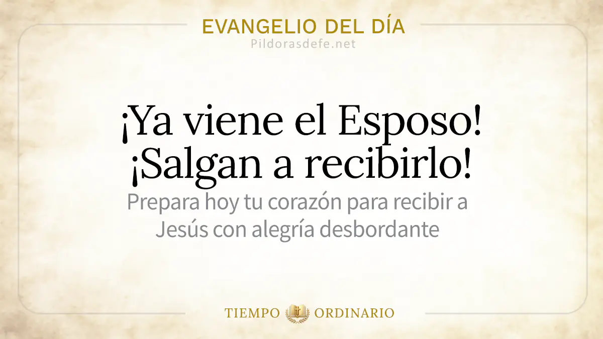 Evangelio del dia viernes Mateo    Ya viene el Esposo webp