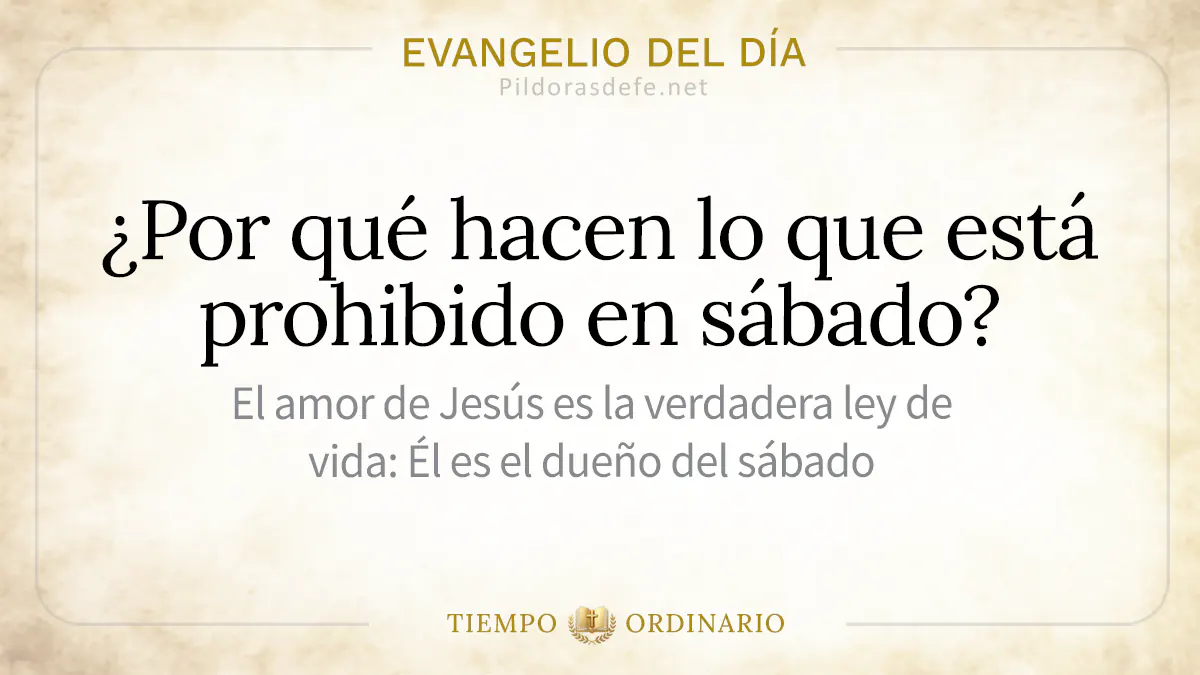 Evangelio del dia viernes sabado Lucas    Hacer lo Prohibido en sabadowebp