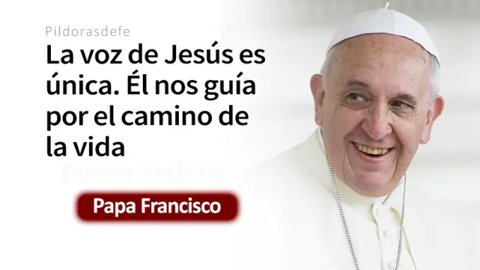 Jesus Buen Pastor nos guia Papa Francisco Juan    Cita Biblica   