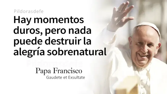 La alegria que nadie les puede quitar Papa Francisco Juan    Cita Biblica   