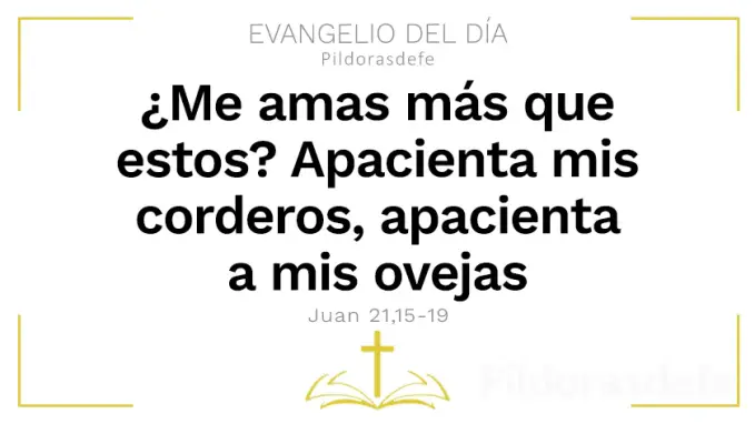 Me amas apacienta mis corderos Juan    Cita Biblica   