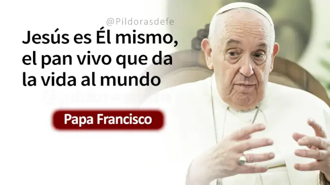 Mi Padre da verdadero Pan bajado del Cielo Evangelio Papa Francisco Juan    Cita Biblica   