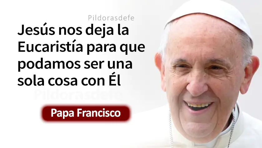 Mi carne es verdadera comida Evangelio Papa Francisco Juan    Cita Biblica   webp