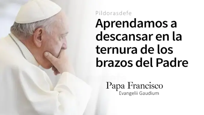 Quien permanece en mi da fruto Papa Francisco Juan   a Cita Biblica   