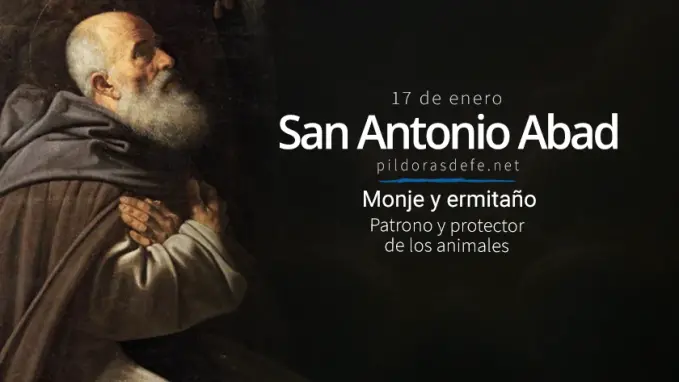 San Antonio Abad Monje y Ermitano Patrono de los Animales domesticos