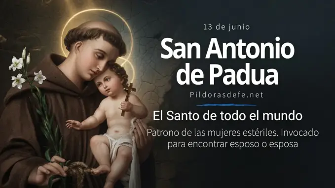 San Antonio de Padua Santo de todo el mundo