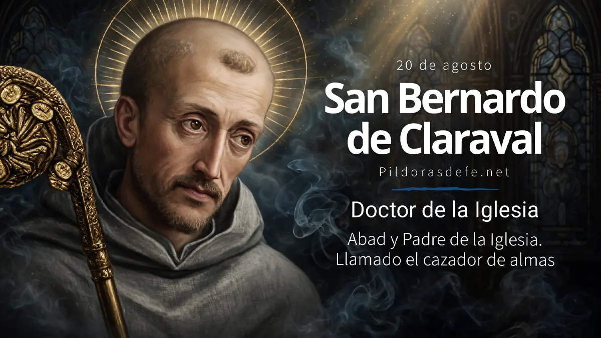 San Bernardo de Claraval santo patrono de predicadores y doctor de la iglesiawebp