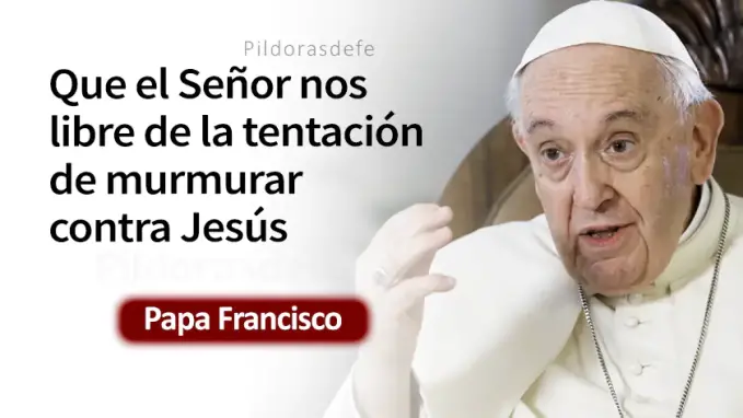 Senor a quien iremos Papa Francisco Juan    Cita Biblica   