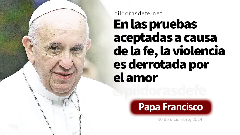Seran odiados a causa de mi Nombre Lucas Evangelio Cita Biblica webp