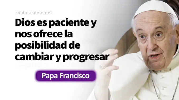 Si no se convierten pereceran Papa Francisco Lucas    Cita Biblica   