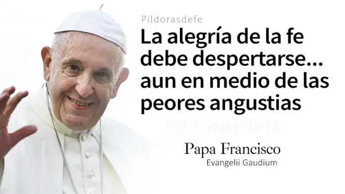 Su tristeza se transformara en alegria Papa Francisco Juan    Cita Biblica   