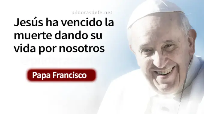 Tenia que resucitar Papa Francisco Juan    Cita Biblica   