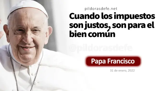 Tu maestro no paga impuestos Mateo    Evangelio Cita Biblica   
